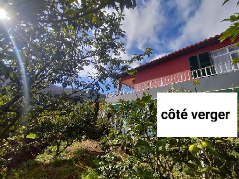 Sea Mountain House Villa Machico  Kültér fotó