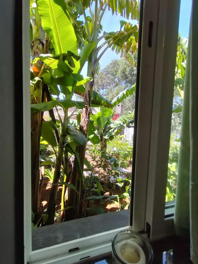 Sea Mountain House Villa Machico  Kültér fotó